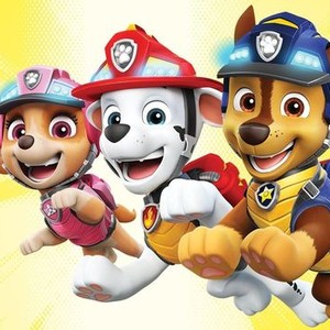 Watch paw patrol best sale ready race rescue