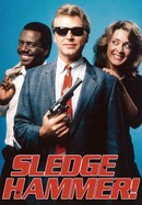 Sledge Hammer! poster image