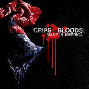 Crips and Bloods: Made in America photo 2