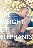 The Weight of Elephants poster image