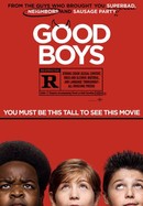Good Boys poster image