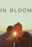 In Bloom poster image