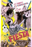 Fiesta poster image