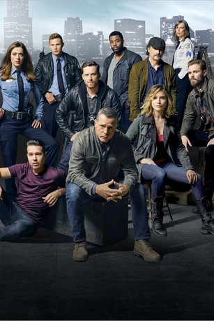 Chicago pd season 3 123movies shop