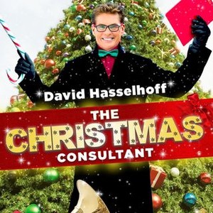 The Christmas Consultant (2012)