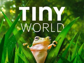 Tiny world apple outlet tv