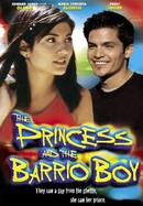The Princess and the Barrio Boy poster image