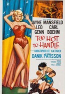 Too Hot to Handle poster image
