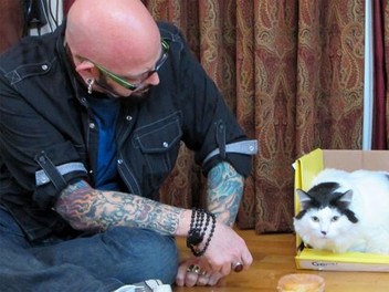 My cat from hell season 6 episode 2 sale