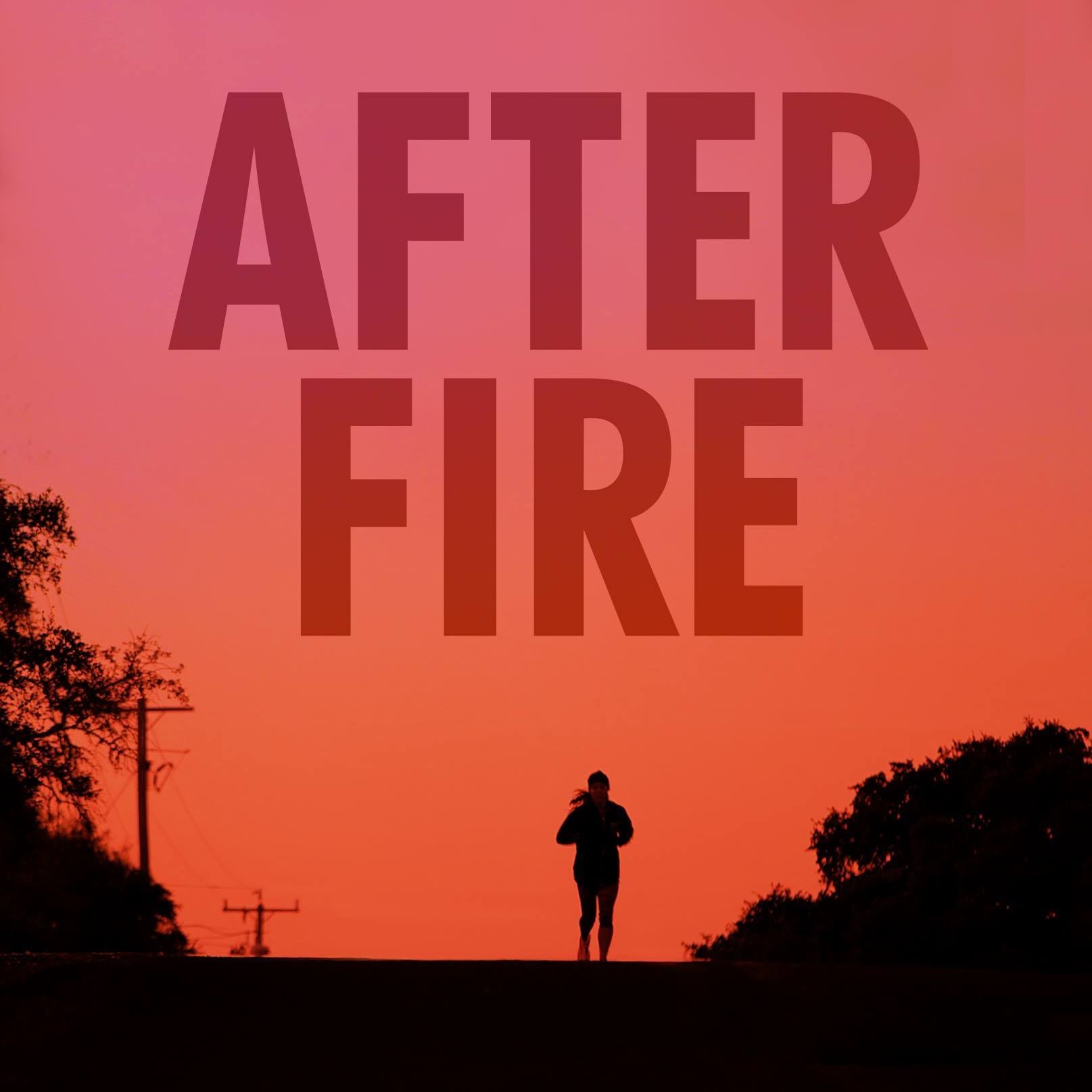 after the fire book review