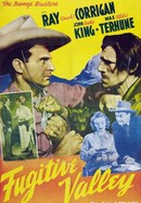 Fugitive Valley poster image