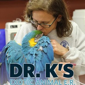 dr k exotic animal er