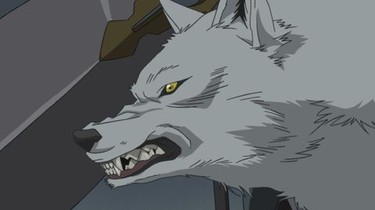 Wolf's rain hot sale full episodes