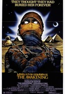 The Awakening poster image