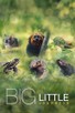 Poster for 