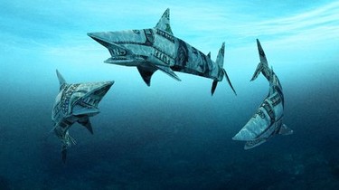 Shark tank season 11 fmovies hotsell