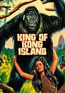 King of Kong Island poster image