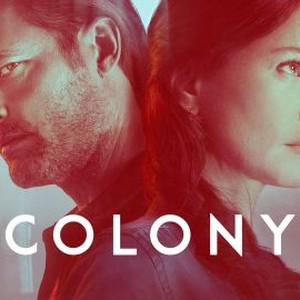 "Colony photo 4"