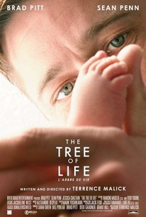 Watch trailer for The Tree of Life