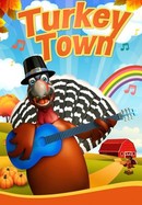 Turkey Town poster image