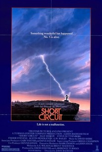 Short Circuit streaming: where to watch online?