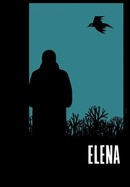 Elena poster image