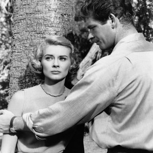 THE BEST OF EVERYTHING, from left, Hope Lange, Stephen Boyd, 1959, TM and Copyright ©20th Century Fox Film Corp. All rights reserved..
