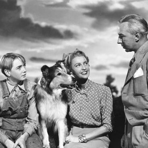 THE SUN COMES UP, from left: Claude Jarman Jr., Lassie, Jeanette MacDonald, Lloyd Nolan, 1949