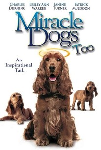 Watch trailer for Miracle Dogs Too