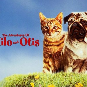 The Adventures of Milo and Otis photo 5