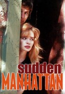 Sudden Manhattan poster image