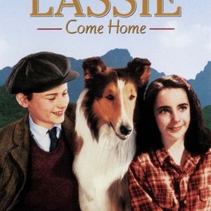 Lassie Come Home (1943) photo 5