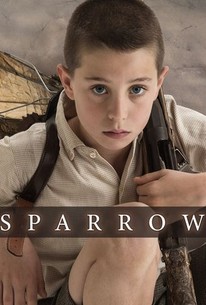 Sparrow | Rotten Tomatoes