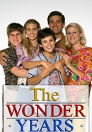 The Wonder Years poster image