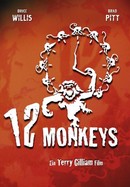 12 Monkeys poster image