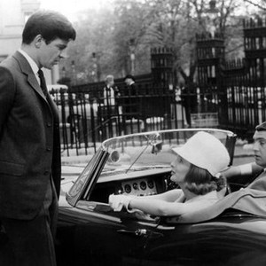 NOTHING BUT THE BEST, Alan Bates, Millicent Martin, James Villiers, 1964