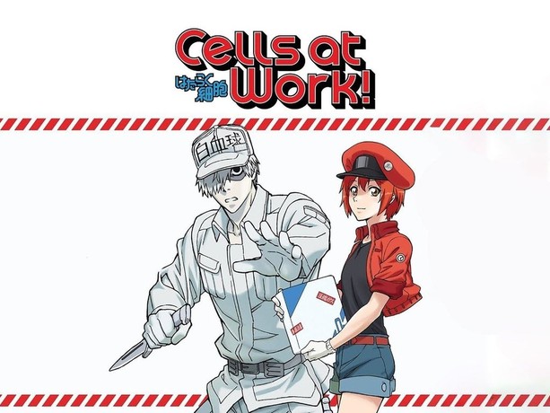 Cells at Work! Season 2 - watch episodes streaming online