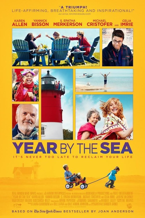 Year by the Sea poster