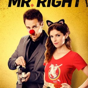 Mr. Right (2015)