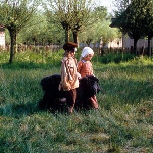 A Dog of Flanders (1999)