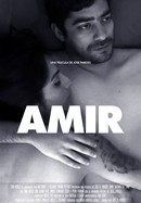 Amir poster image