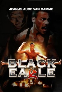 Watch trailer for Black Eagle