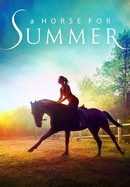A Horse for Summer poster image