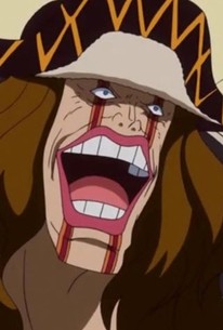 One Piece: Season 17, Episode 103 - Rotten Tomatoes