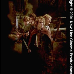 The Lord of the Rings: The Fellowship of the Ring photo 11