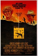 Mean Dog Blues poster image