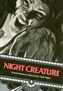 Night Creature poster image
