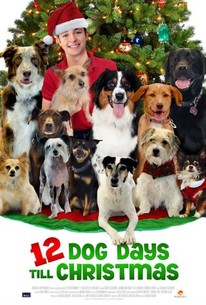 Watch trailer for 12 Dog Days Till Christmas