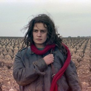 Vagabond Rotten Tomatoes Vagabond Rotten Tomatoes