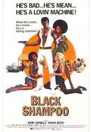 Black Shampoo poster image